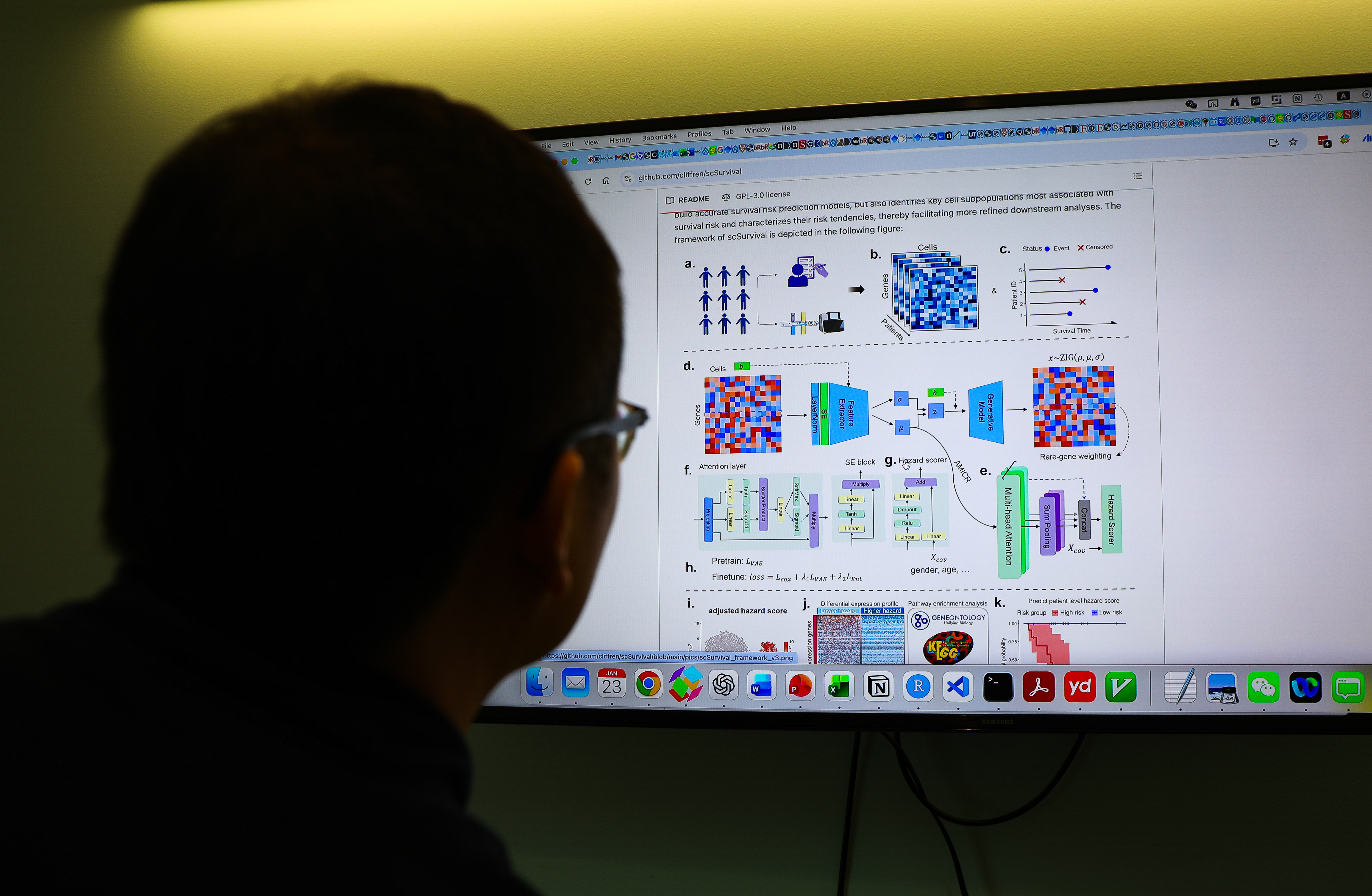 New cancer research tool predicts patient survival at single-cell